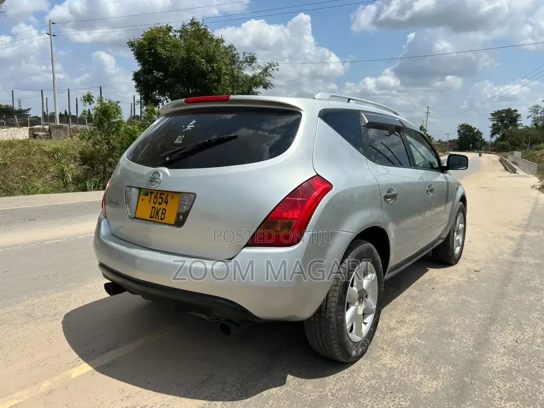 Nissan Murano 2006 Silver