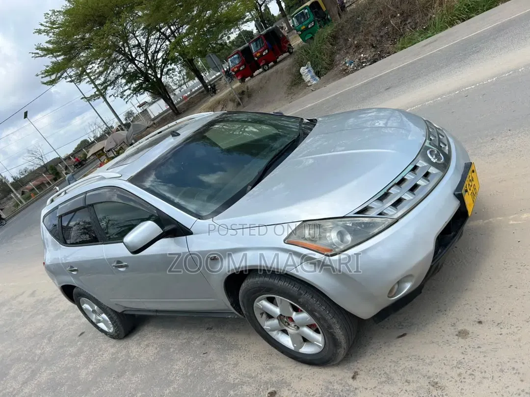 Nissan Murano 2006 Silver