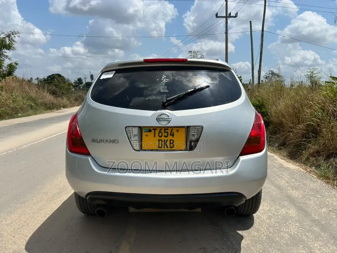 Nissan Murano 2006 Silver