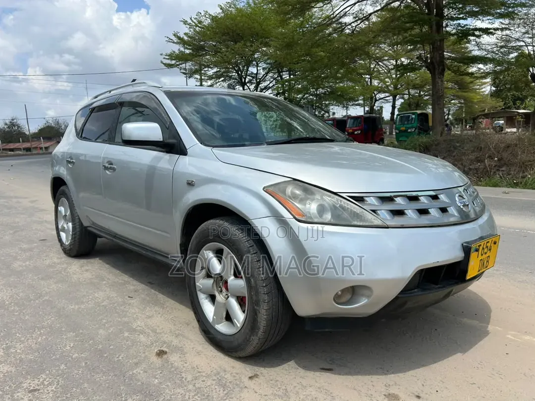 Nissan Murano 2006 Silver
