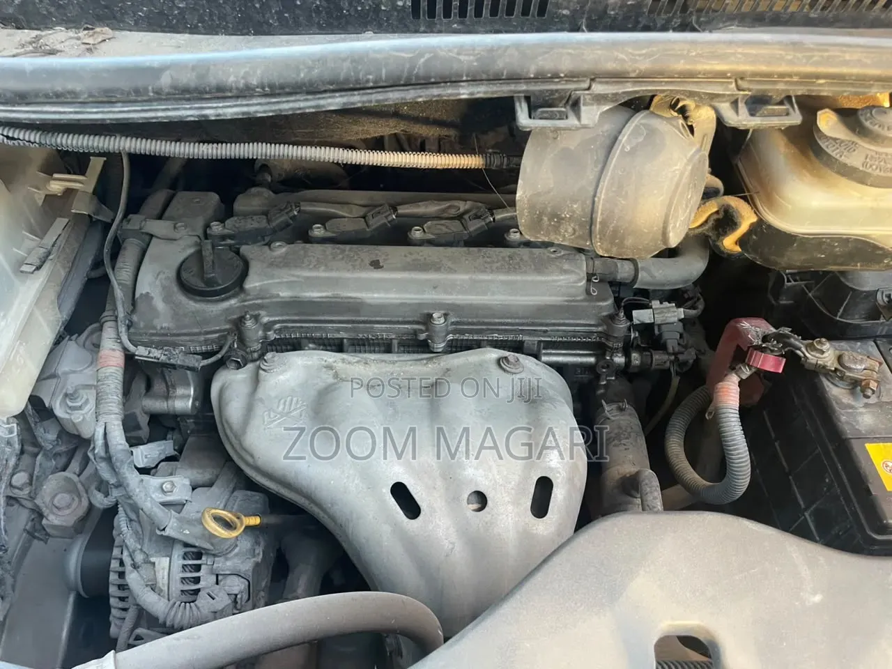 Toyota Alphard 2008 Gray