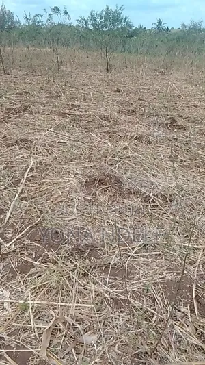 Kiwanja Sadani Kinauzwa