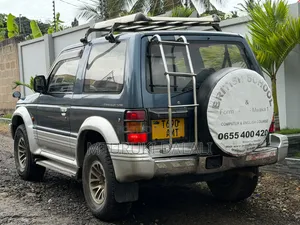 Mitsubishi Pajero 1993 Blue