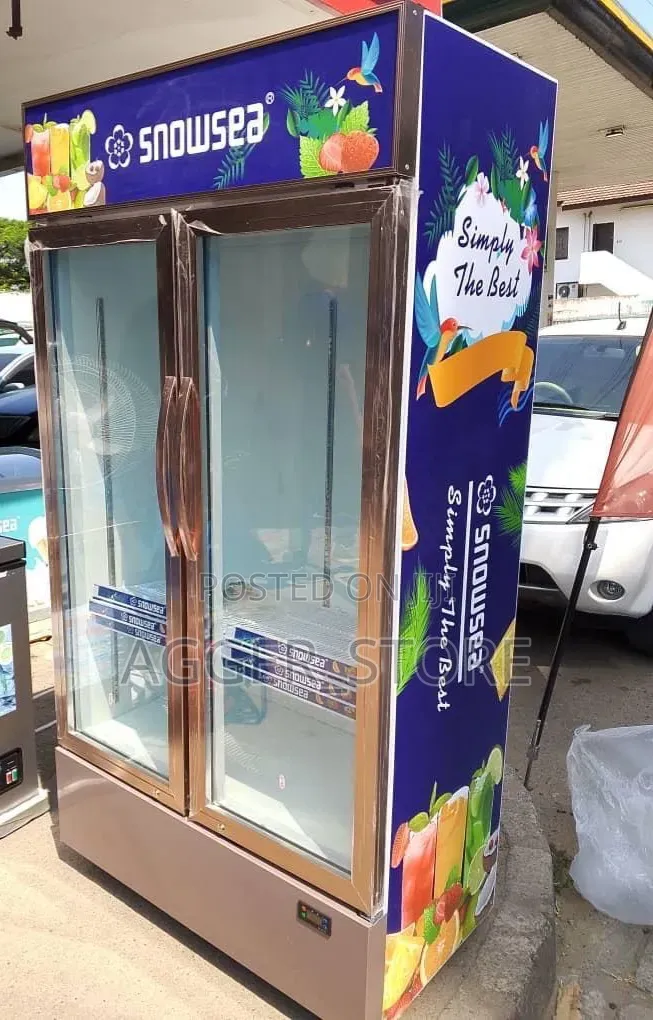 Snowsea SN683 Showcase Fridge