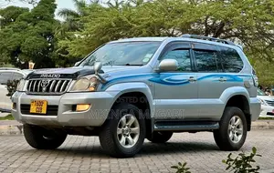 Toyota Land Cruiser Prado 2004 Silver