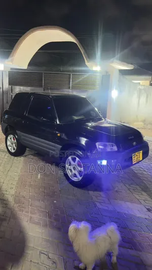 Toyota RAV4 1999 Black