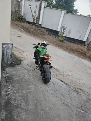 Kawasaki 2003 Green