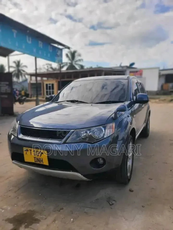 Mitsubishi Outlander 2010 Gray