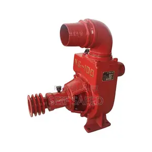 NS 100 Waterpump