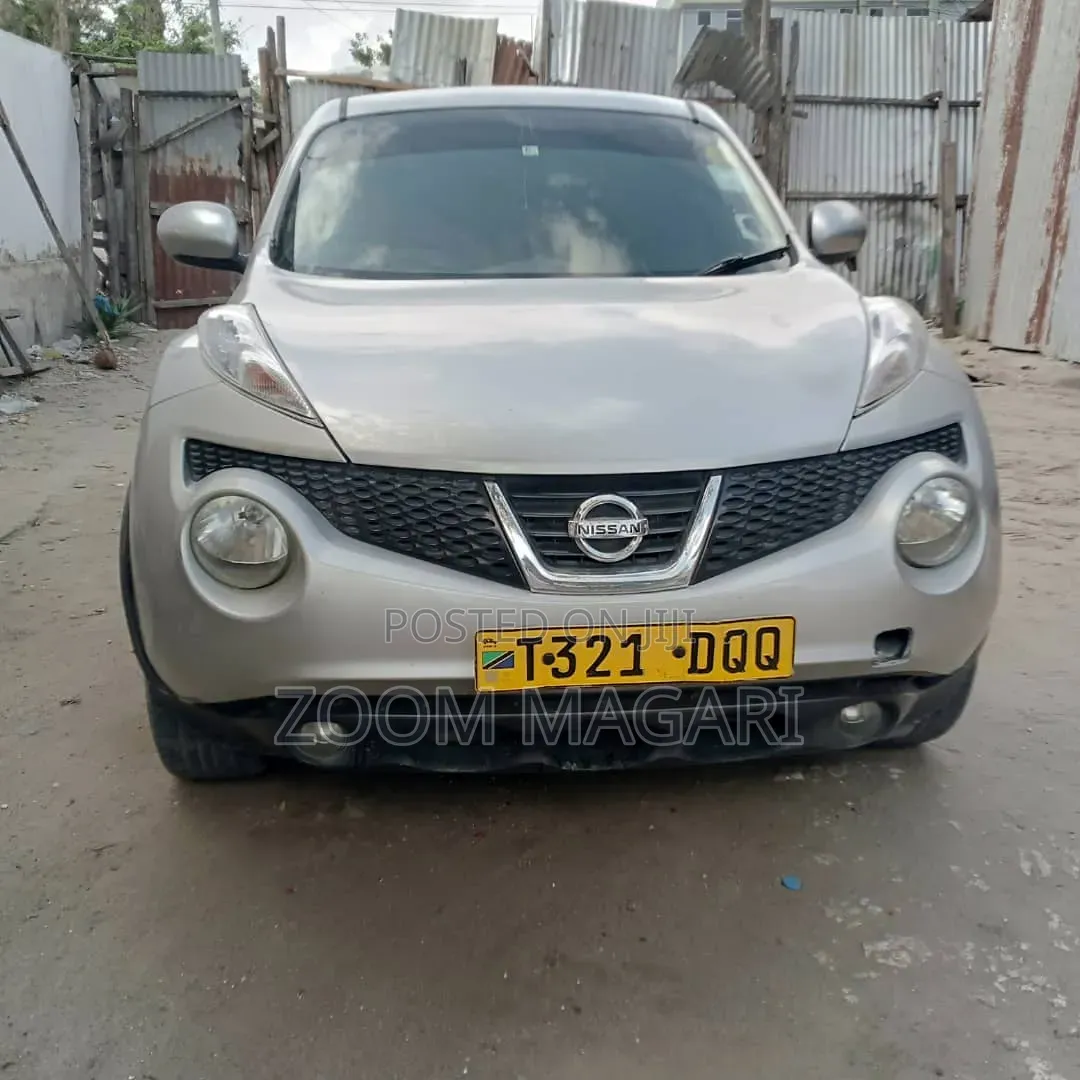 Nissan Juke 2011 Silver