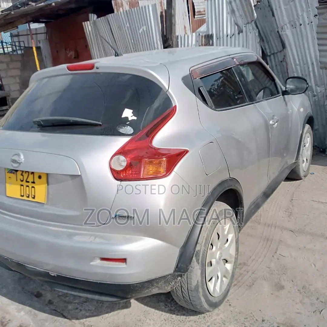 Nissan Juke 2011 Silver