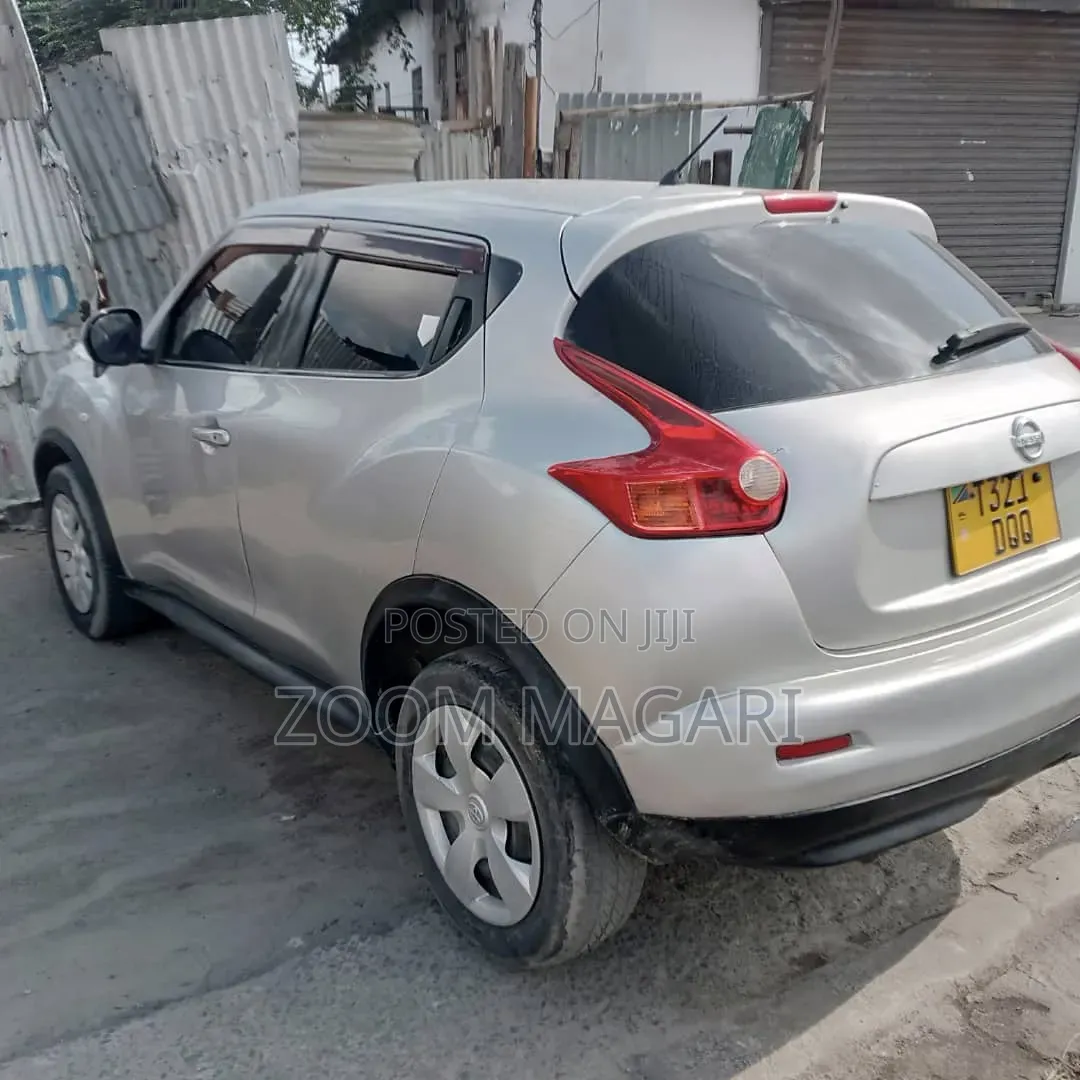 Nissan Juke 2011 Silver