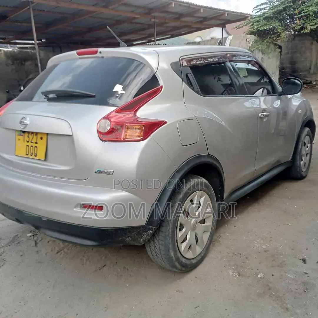Nissan Juke 2011 Silver