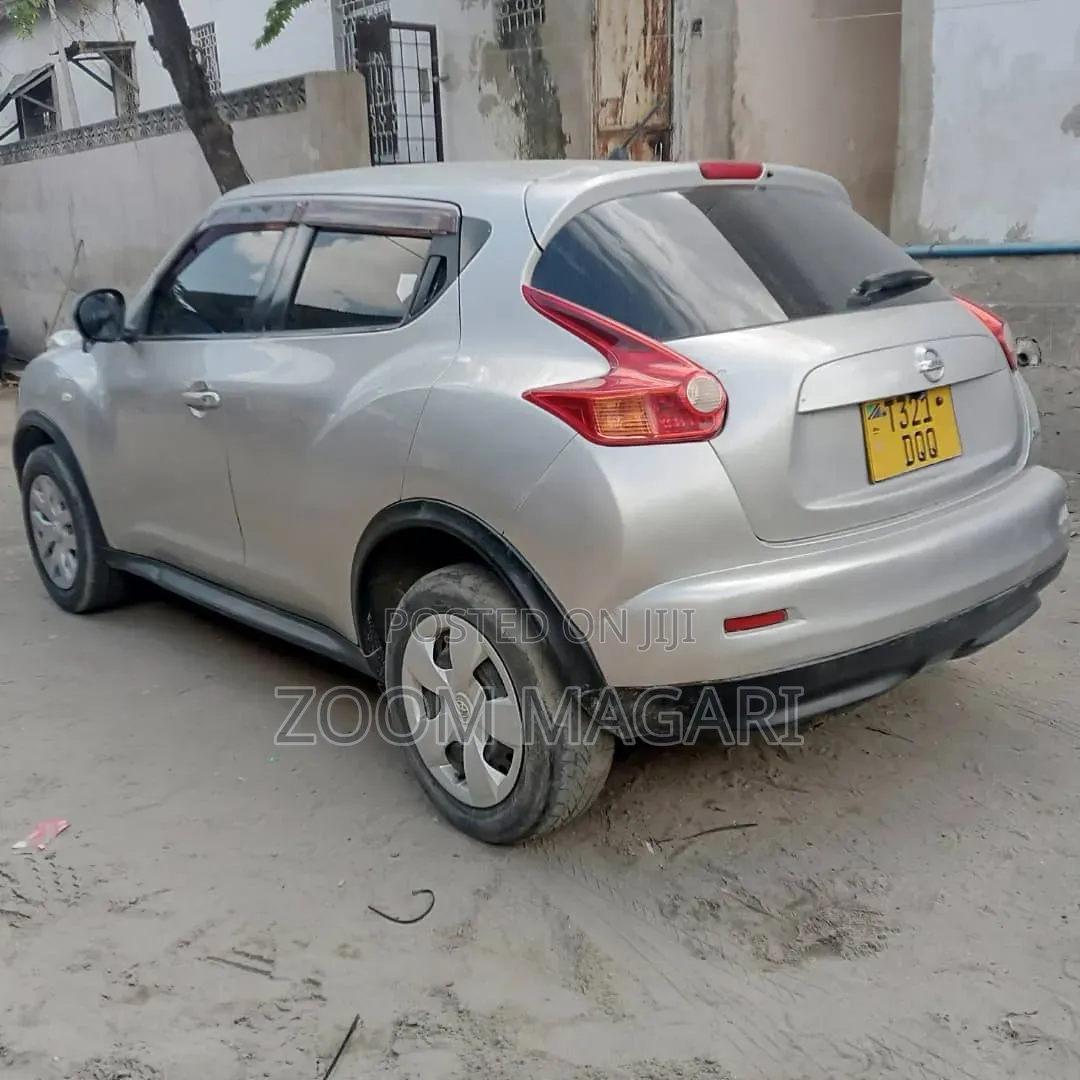 Nissan Juke 2011 Silver