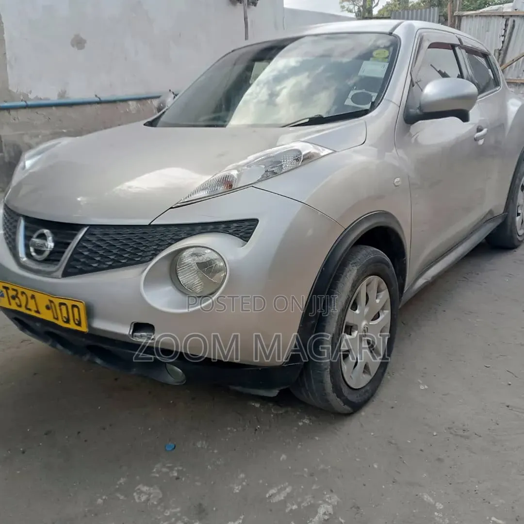 Nissan Juke 2011 Silver