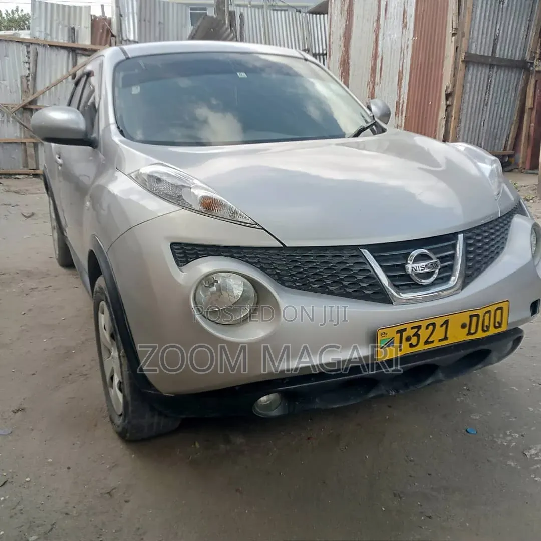 Nissan Juke 2011 Silver