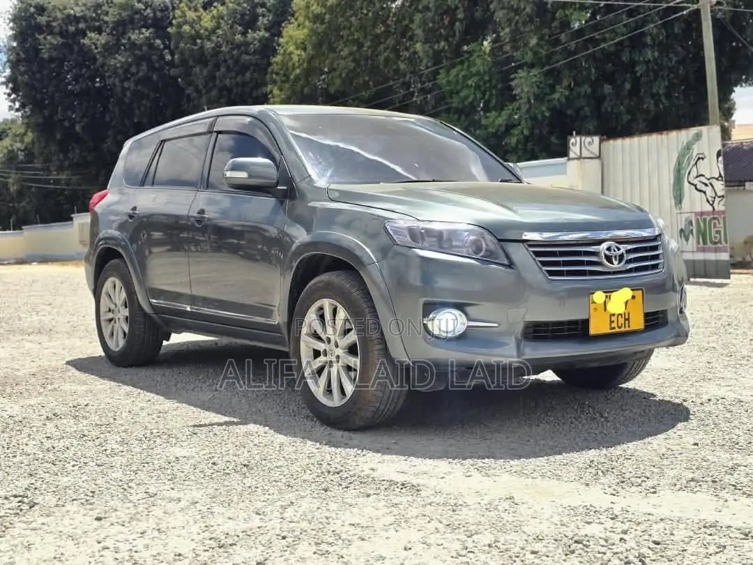 Toyota Vanguard 2010 Gray