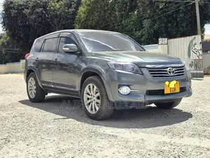 Toyota Vanguard 2010 Gray