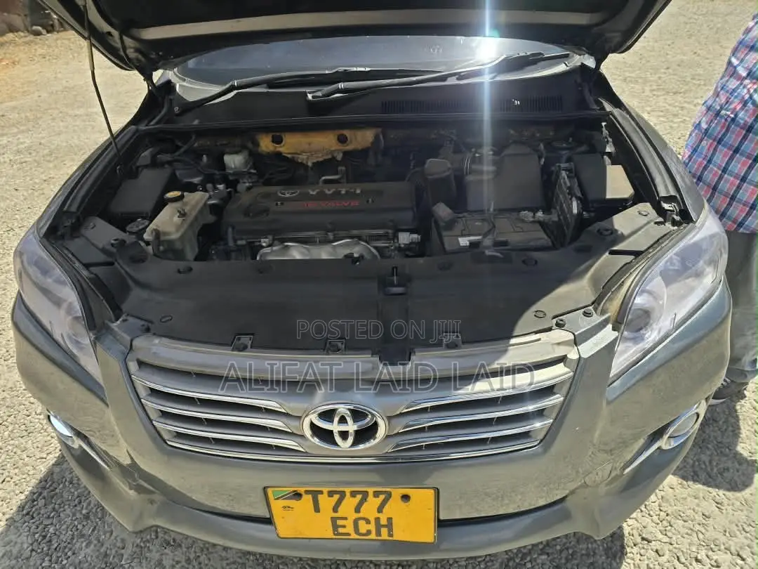 Toyota Vanguard 2010 Gray