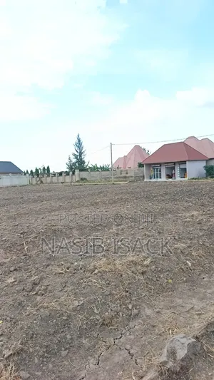 Plot for Sale Nyamhongoro Meanza