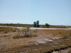 Mashamba Yanauzwa