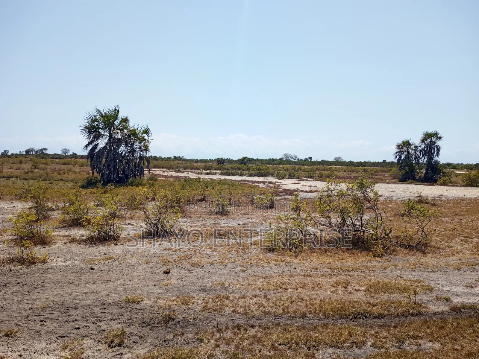 Mashamba Yanauzwa