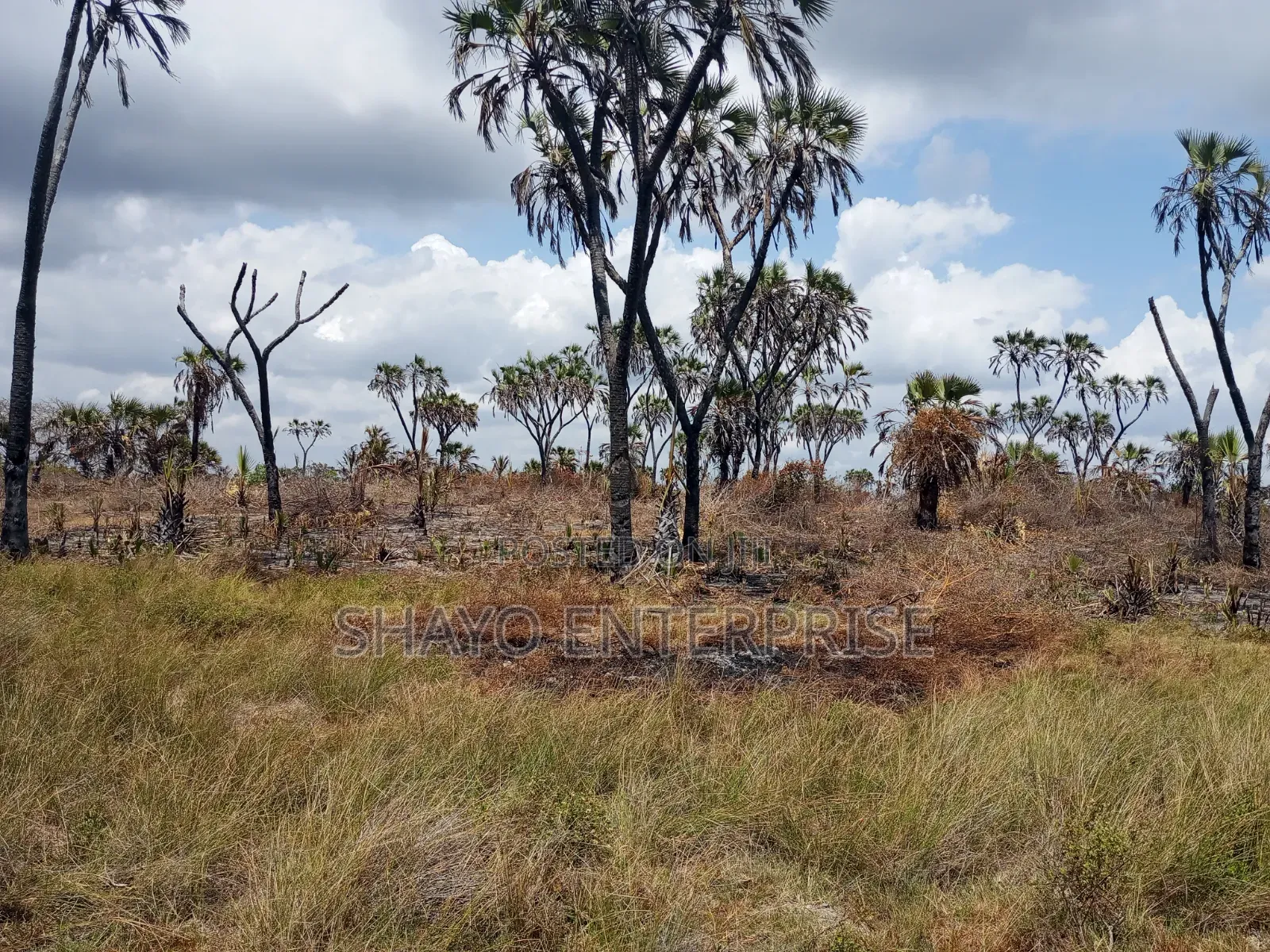 Mashamba Yanauzwa
