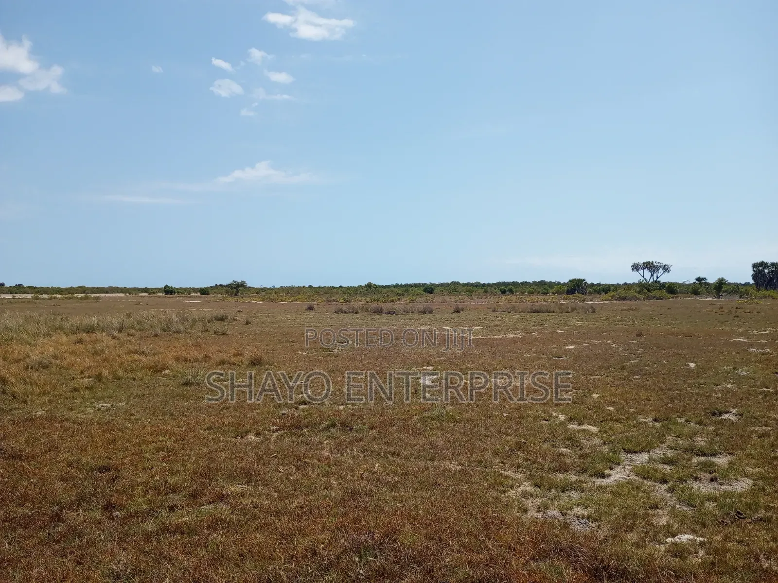 Mashamba Yanauzwa
