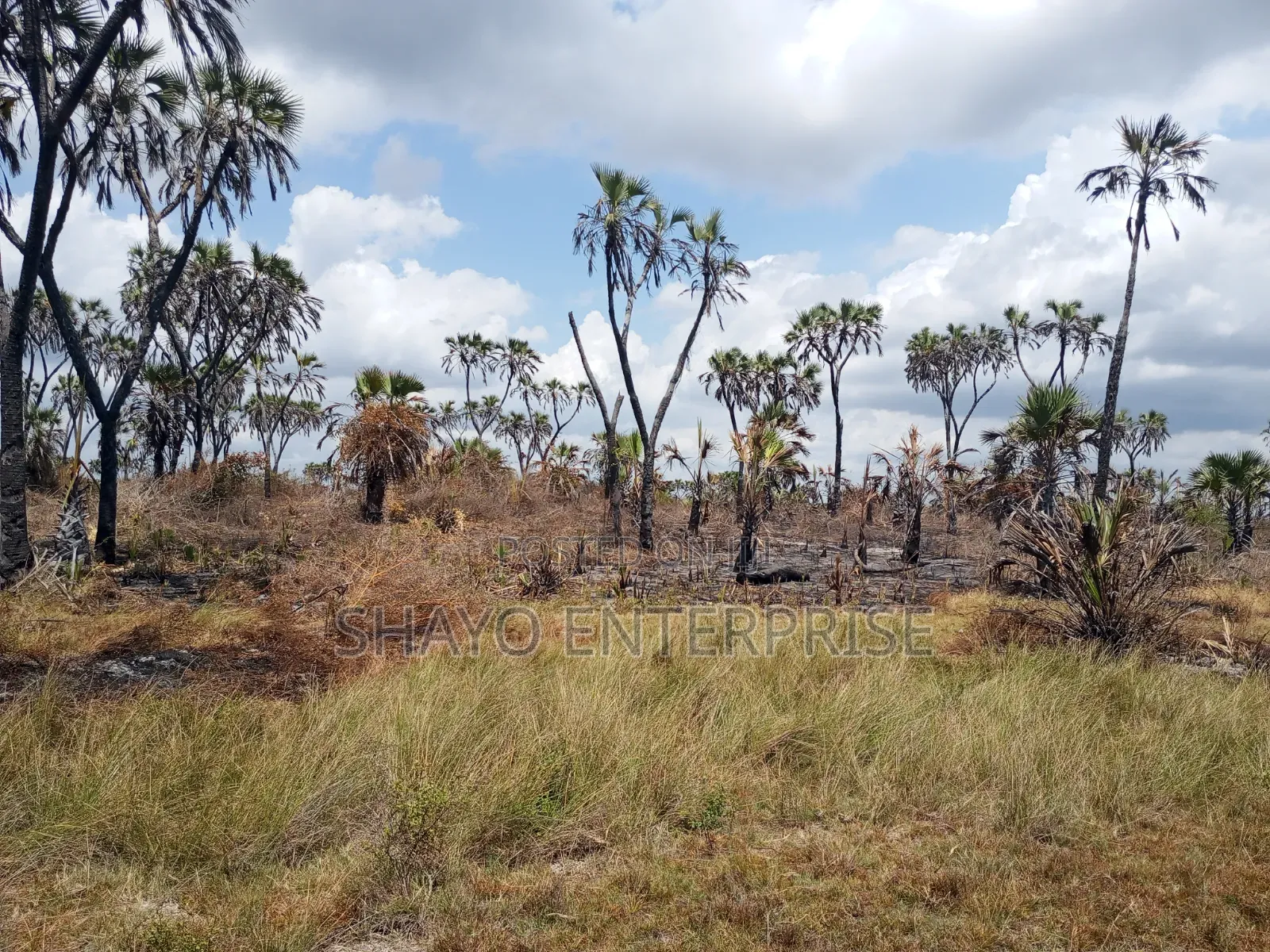 Mashamba Yanauzwa