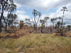 Mashamba Yanauzwa
