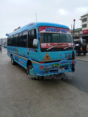 Mitsubishi Fuso Rosa 2004 Blue