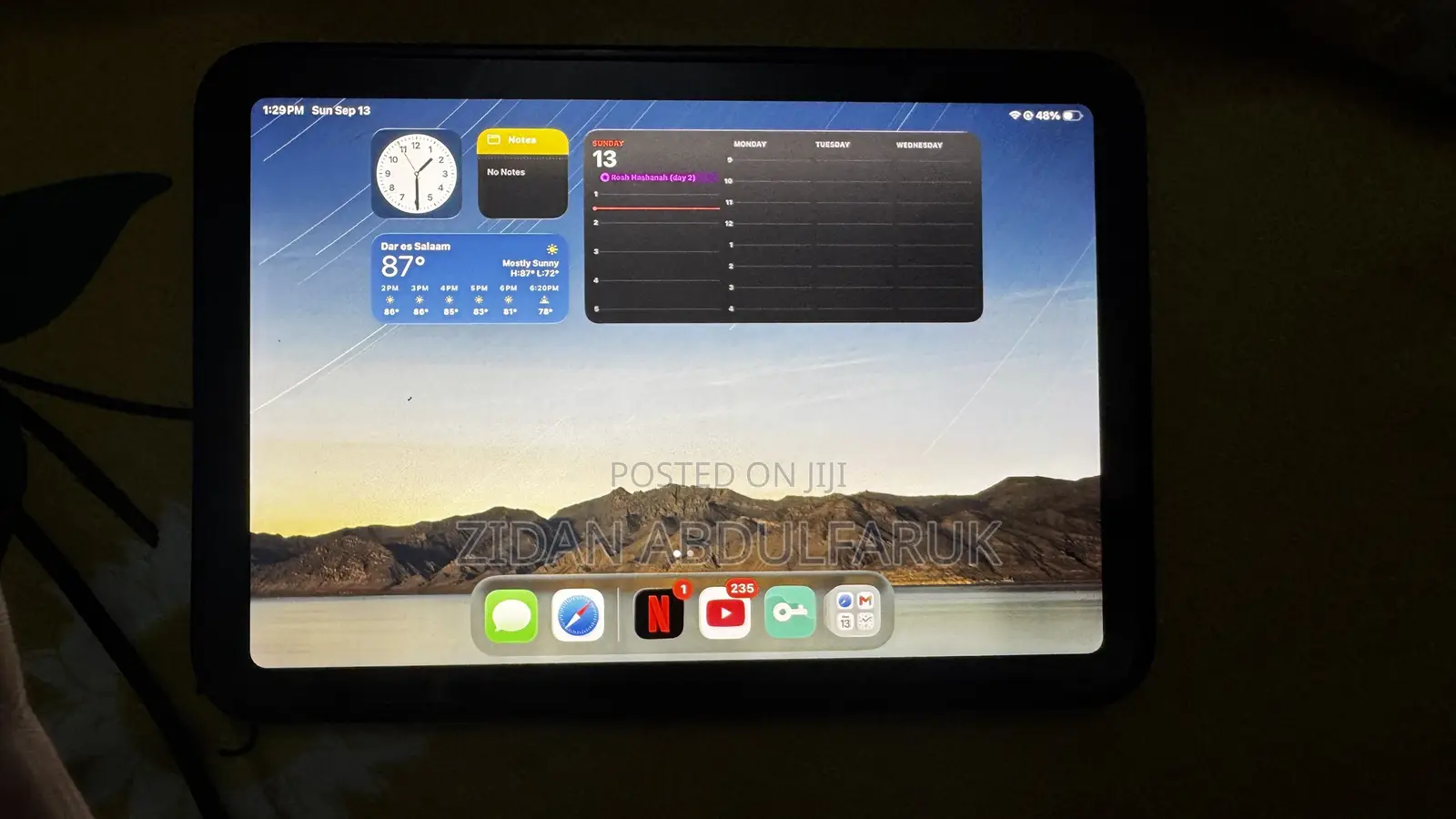 Apple iPad mini 6 256 GB Blue