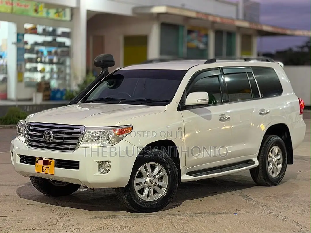Toyota Land Cruiser 2009 Pearl