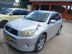Toyota RAV4 2007 Silver