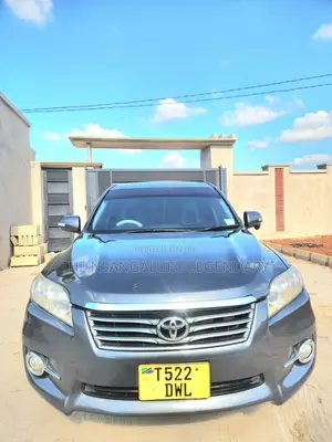 Toyota Vanguard 2010 Gray