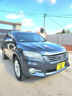 Toyota Vanguard 2010 Gray