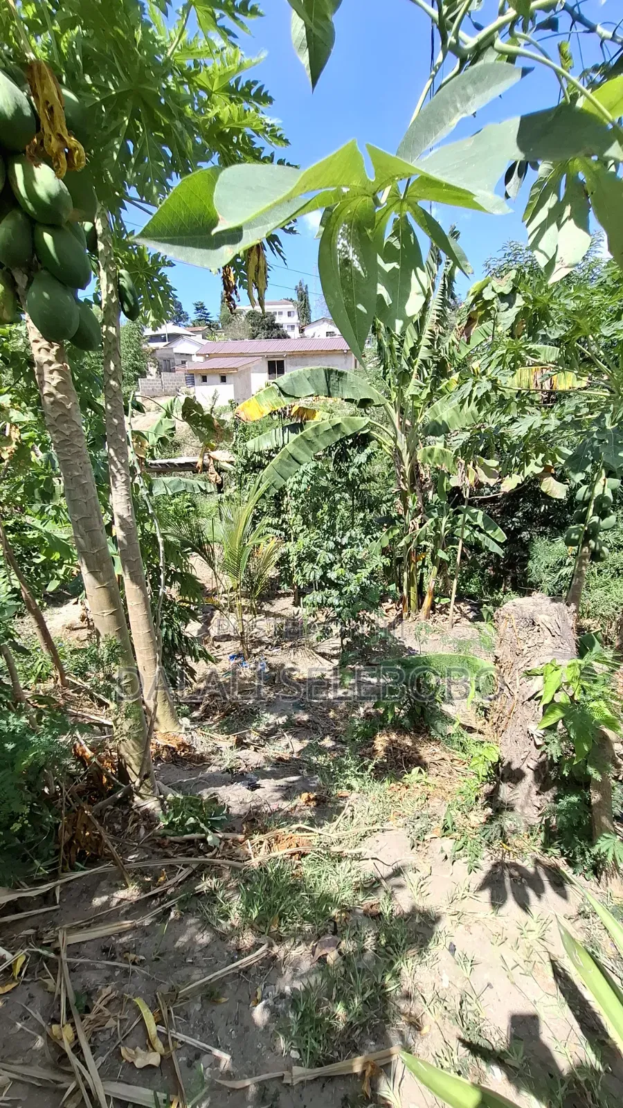 Plot at Changanyikeni Udsm