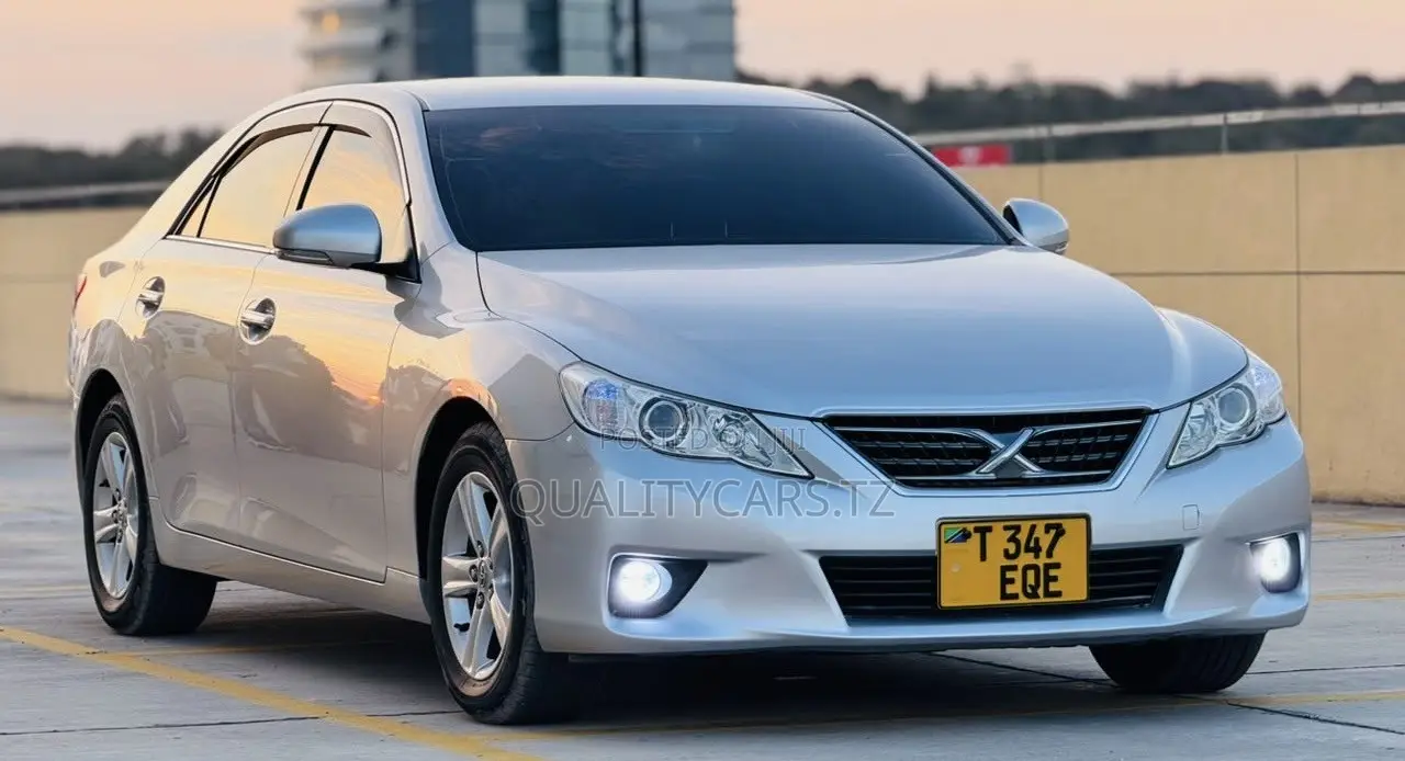Toyota Mark X 2010 Silver
