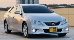 Toyota Mark X 2010 Silver