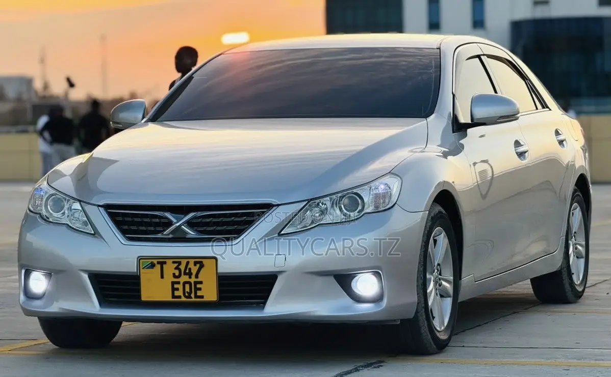 Toyota Mark X 2010 Silver