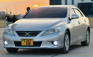 Toyota Mark X 2010 Silver