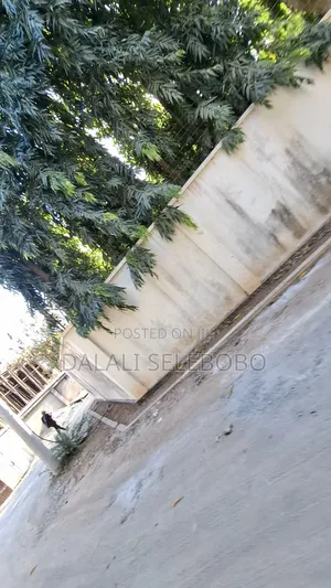 4bdrm Bungalow in Masaki Chole Road for sale