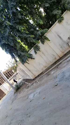 4bdrm Bungalow in Masaki Chole Road for sale