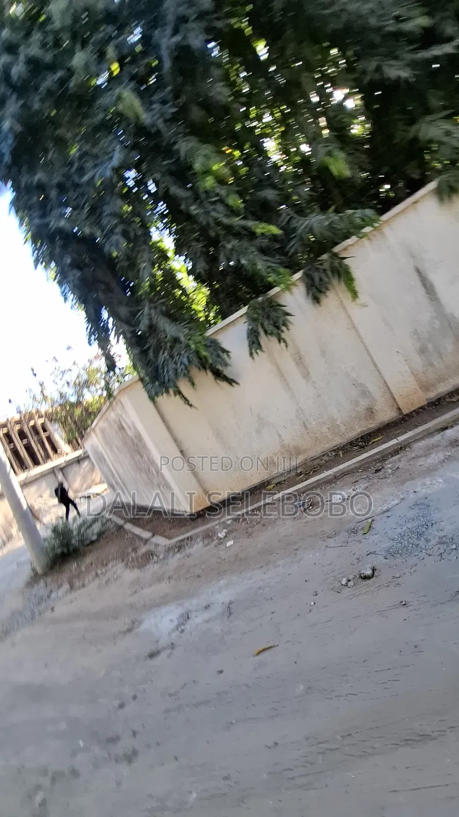 4bdrm Bungalow in Masaki Chole Road for sale