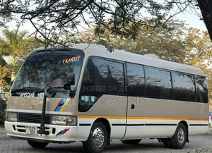 Toyota Coaster 1999 Grey