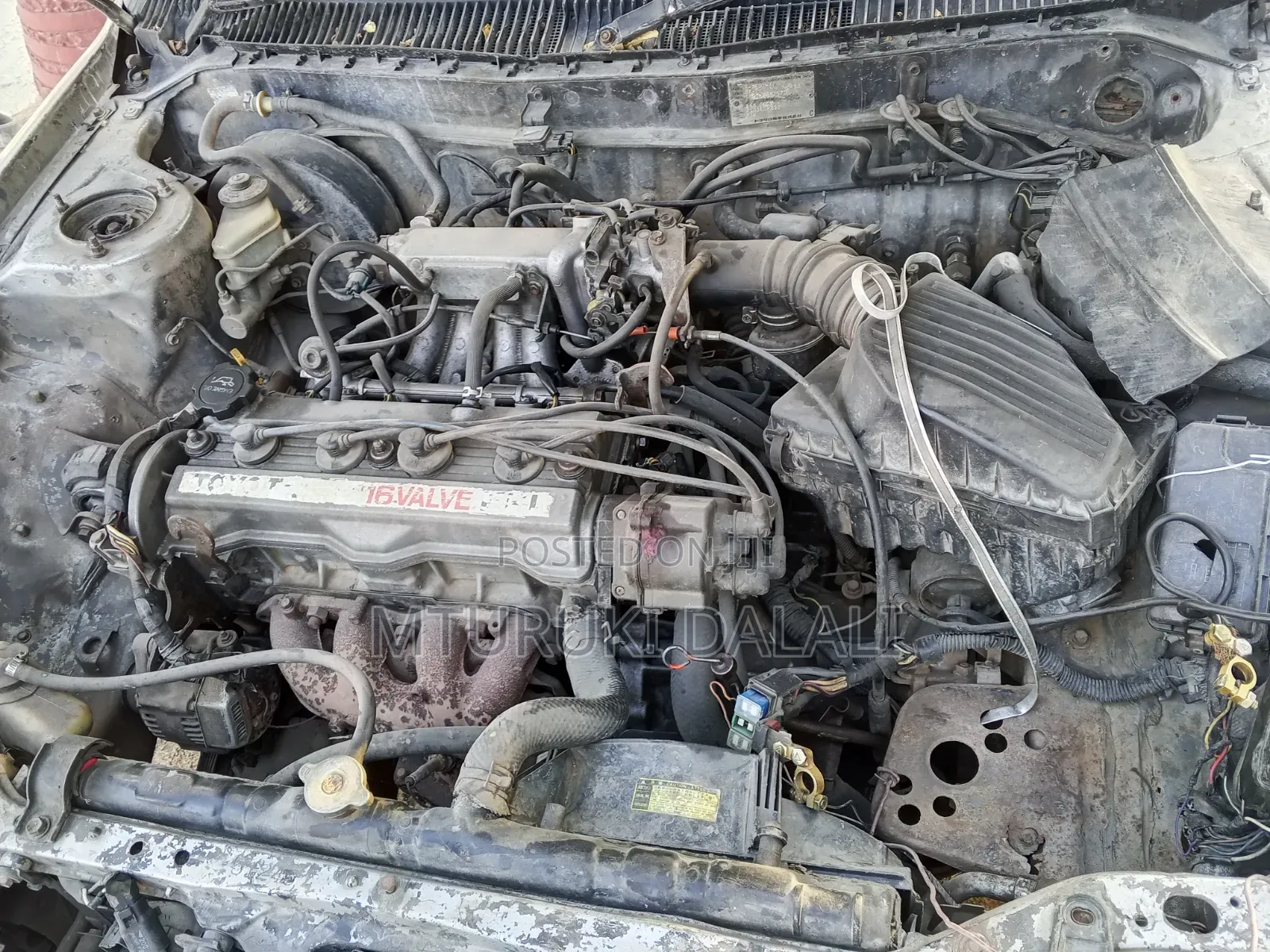 Toyota Corolla 1997 Gray
