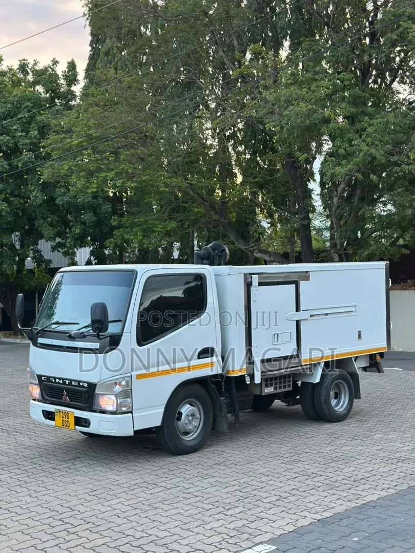 Mitsubishi Canter Guts