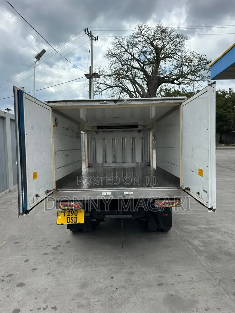 Mitsubishi Canter Guts
