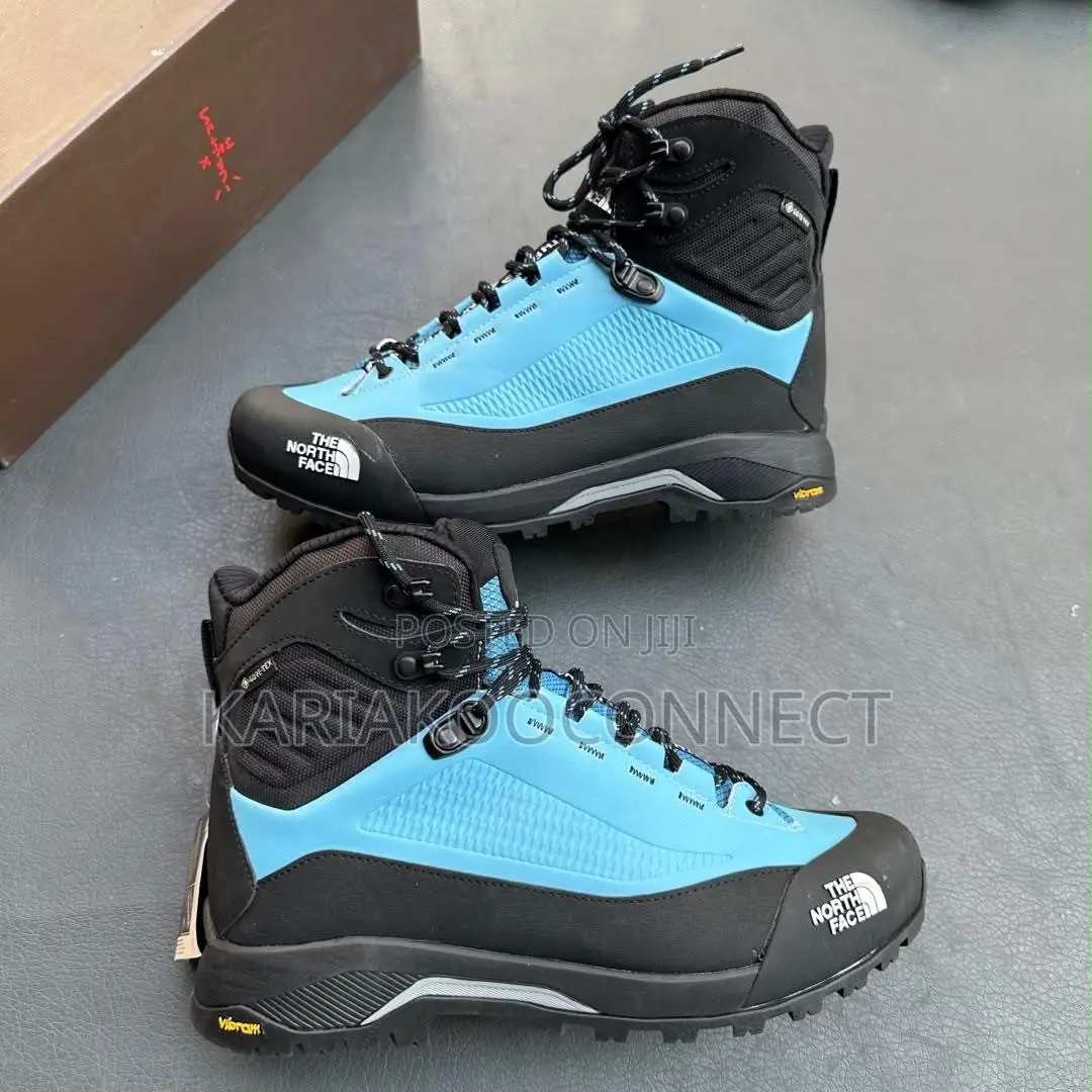 The North Face (TNF) Hiking Boots