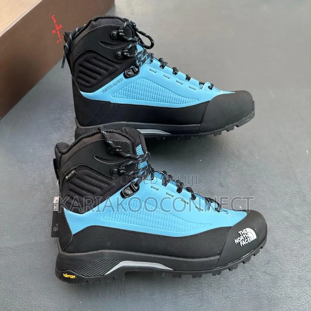 The North Face (TNF) Hiking Boots